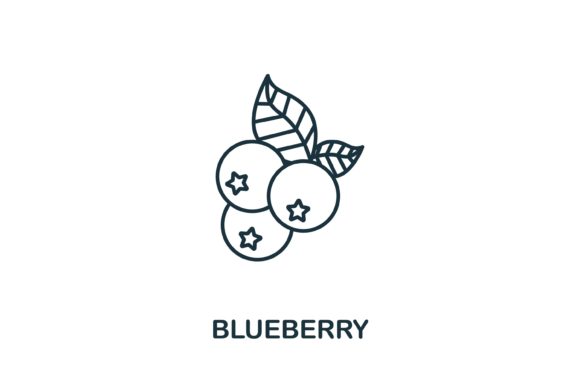 Blueberry Icon: A Fresh Take on Fruit-Inspired Design
