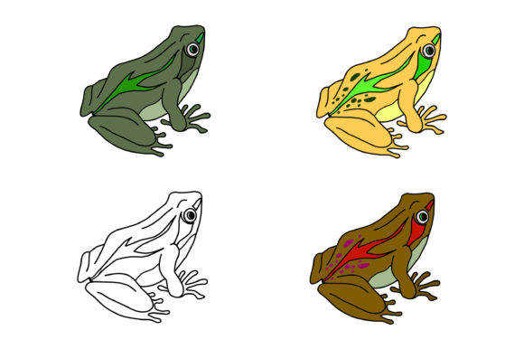 FROG Collection Image: Your All-in-One Creative Asset